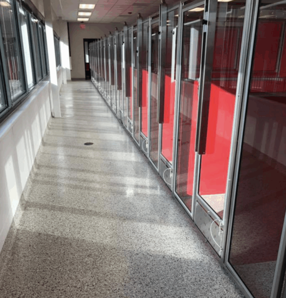 Color Flake Flooring in Hallway
